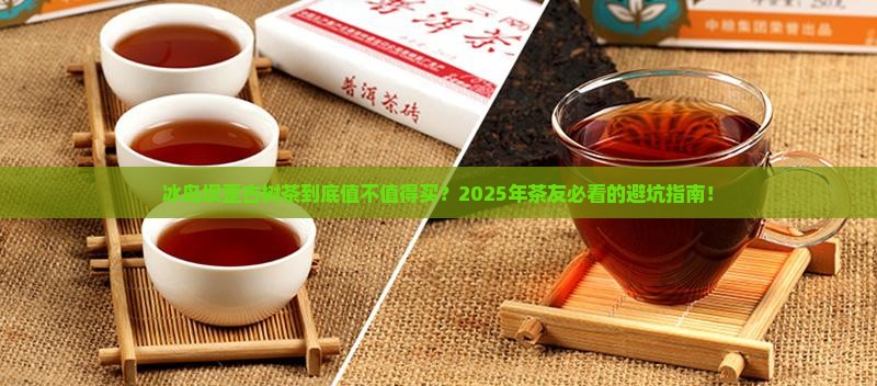 冰岛坝歪古树茶介绍