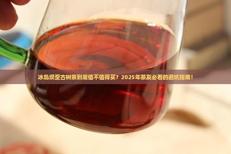 冰岛坝歪古树茶介绍