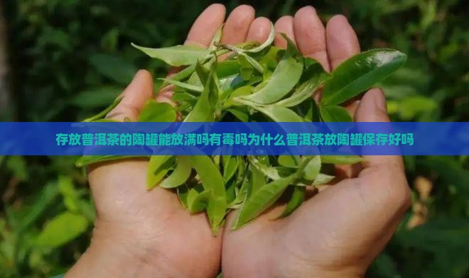 存放普洱茶的陶罐能放满吗