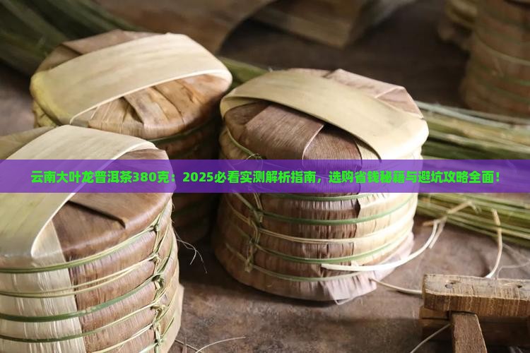云南大叶龙普洱茶380克