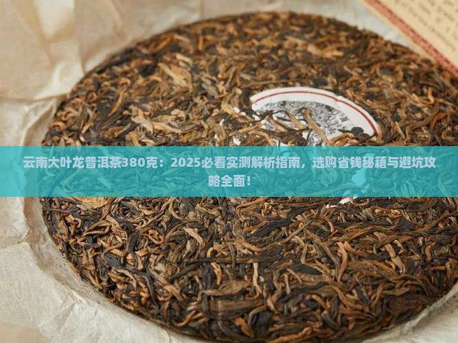 云南大叶龙普洱茶380克