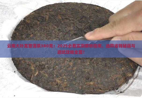 云南大叶龙普洱茶380克