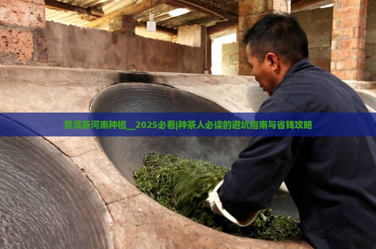 普洱茶河南种植