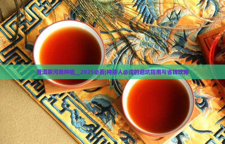 普洱茶河南种植