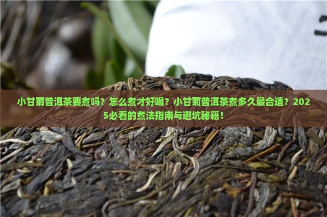 小甘菊普洱茶要煮吗多久