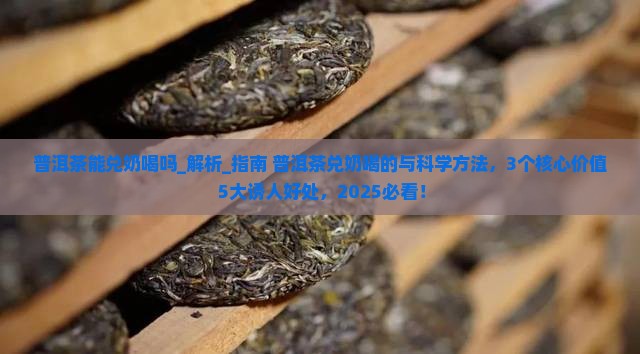 普洱茶能兑奶喝吗