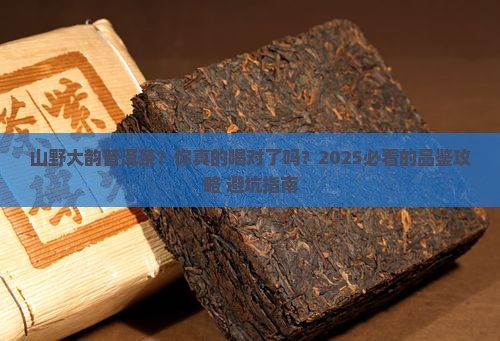 山野大韵普洱茶