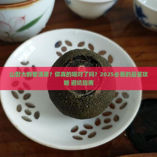 山野大韵普洱茶