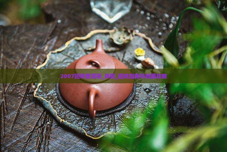 2007班章普洱茶