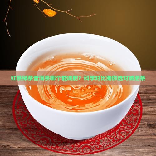 红茶绿茶普洱茶哪个能减肥