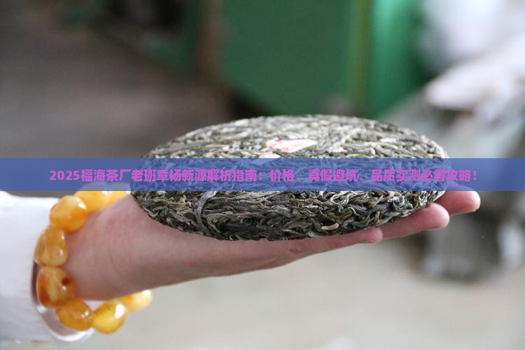 福海茶厂老班章杨新源