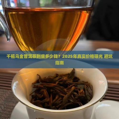 千禧乌金普洱茶多少钱