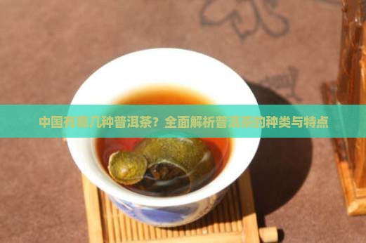 中国有哪几种普洱茶