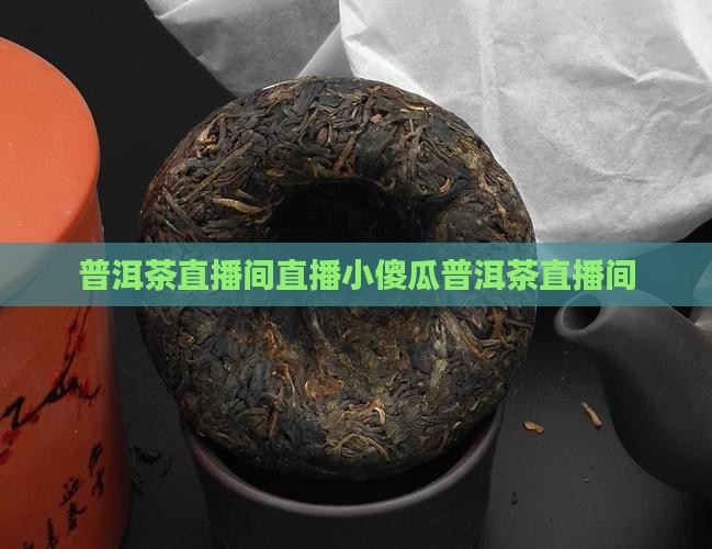 小傻瓜普洱茶直播间