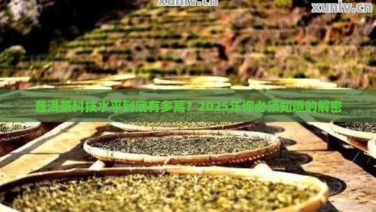 普洱茶科技水平
