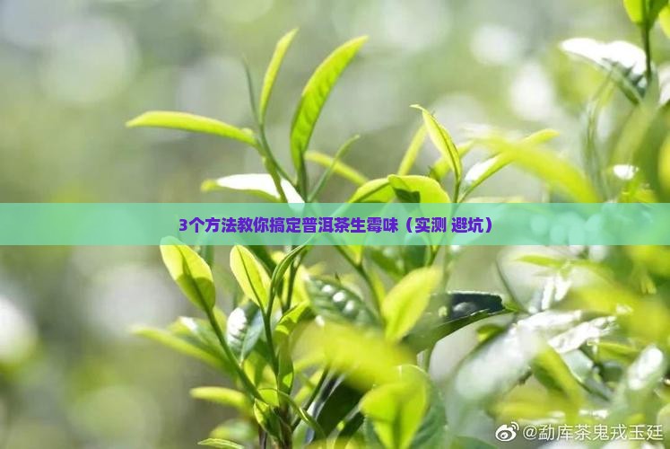 普洱茶生霉味怎么去除