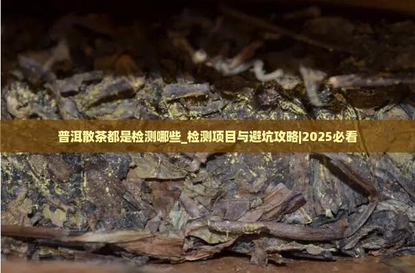 普洱散茶都是检测哪些