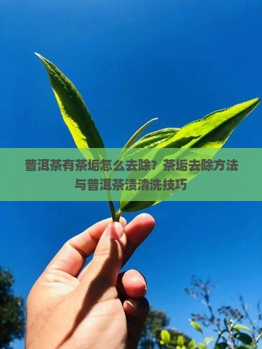 普洱茶有茶垢怎么去除