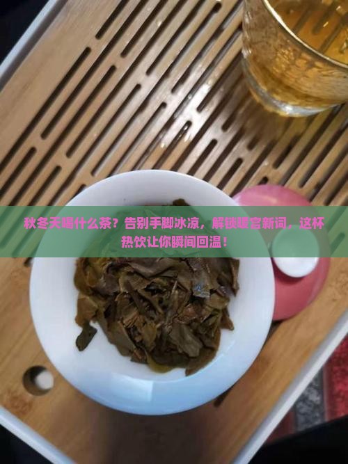 秋冬天喝什么茶