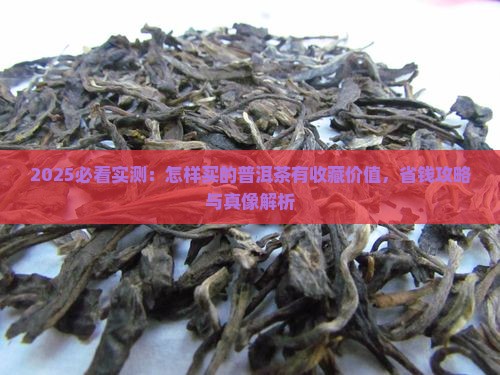怎样买的普洱茶有购买藏价值