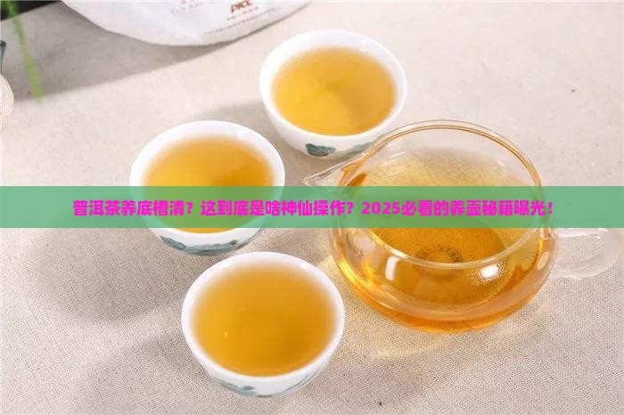 普洱茶养底槽清