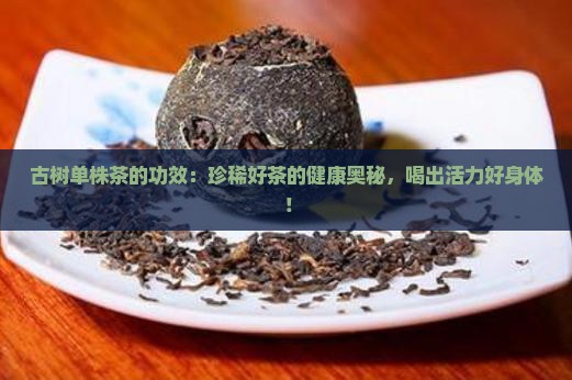 古树单株茶的功效