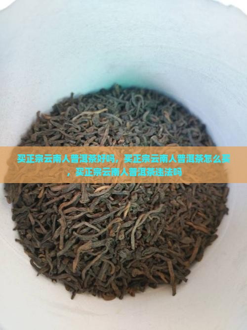买正宗云南人普洱茶