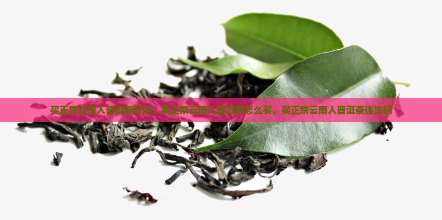 买正宗云南人普洱茶