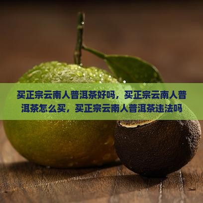 买正宗云南人普洱茶