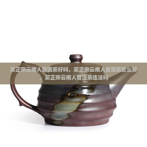 买正宗云南人普洱茶