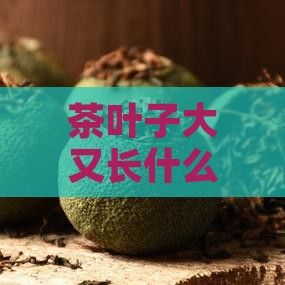 茶叶子大又长什么
