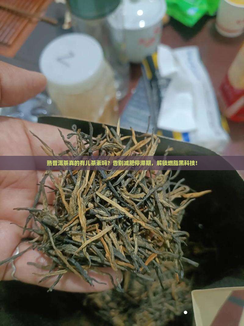 熟普洱茶有儿茶素