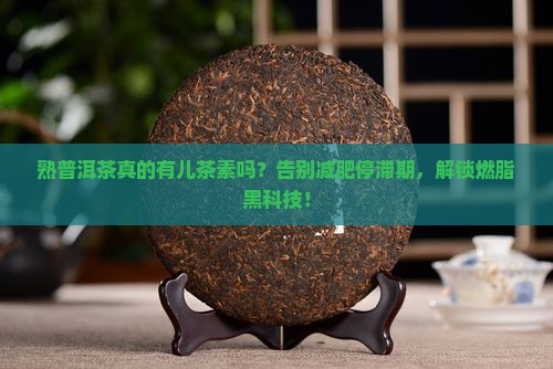 熟普洱茶有儿茶素