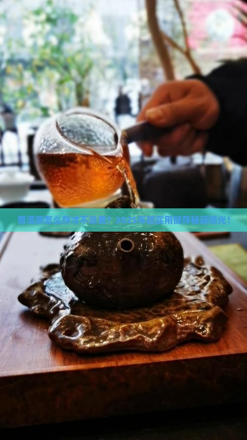 普洱茶的储存条件有哪些好