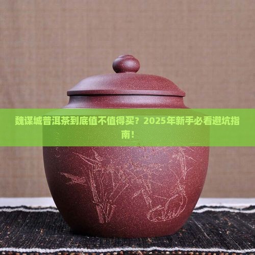 魏谋城普洱茶怎么样啊多少钱