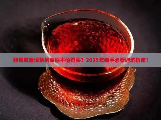魏谋城普洱茶怎么样啊多少钱
