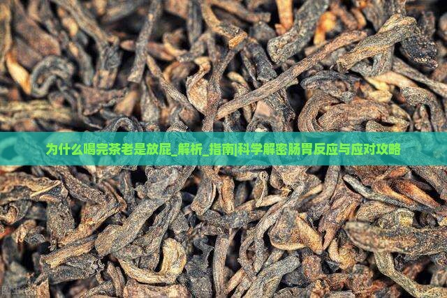 为什么喝完茶老是放屁