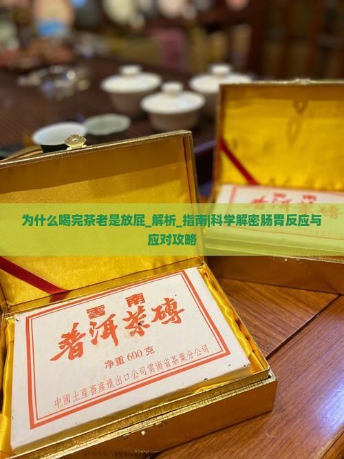 为什么喝完茶老是放屁