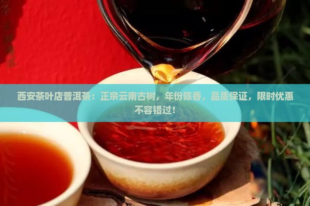 西安茶叶店普洱茶