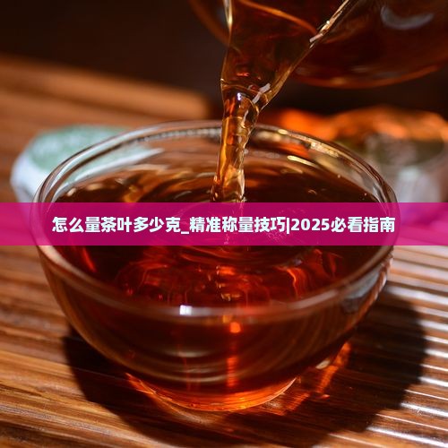 怎么量茶叶多少克