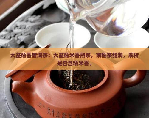 大益糯香普洱茶