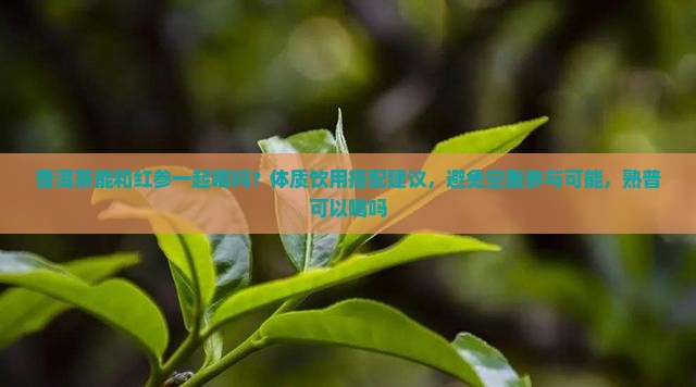 普洱茶能喝红参一起喝吗