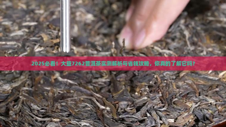 大益7262普洱茶怎么样