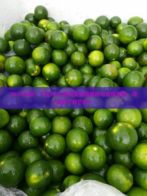 大益7262普洱茶怎么样