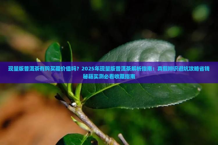 现量版普洱茶有购买藏价值吗