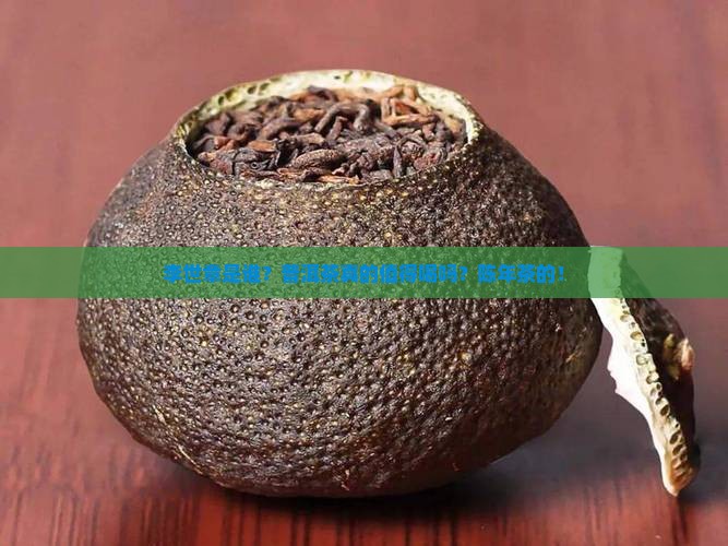 李世章与普洱茶