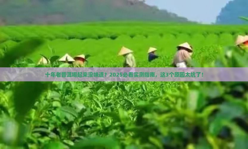 十年以上普洱茶味道淡