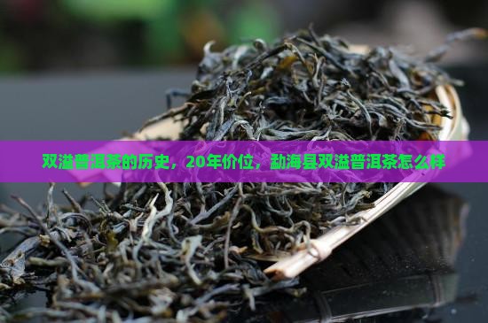 双溢普洱茶的历史