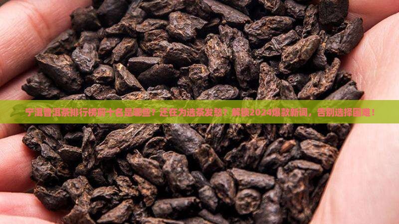 宁洱普洱茶品牌排行榜前十名