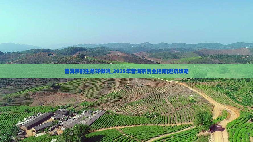 普洱茶的生意好做吗
